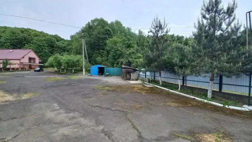 Продаж відпочинково-виробничого комплексу в м.Іршава